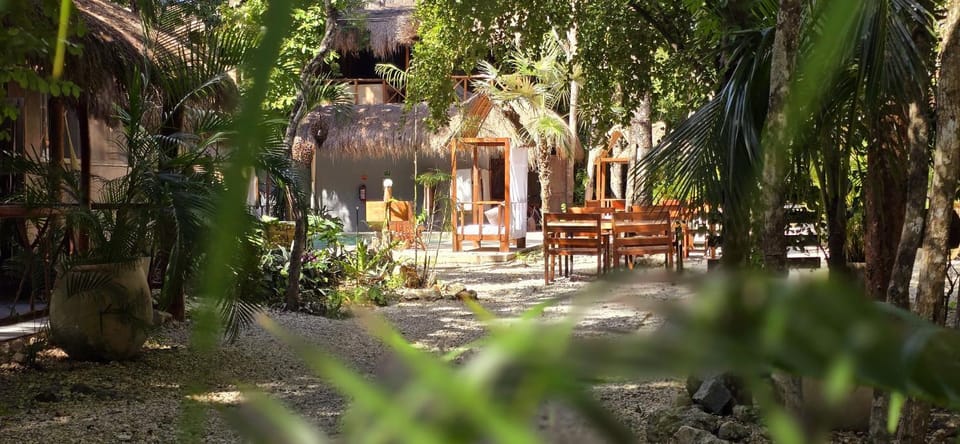 Patio, Garden, Garden view
