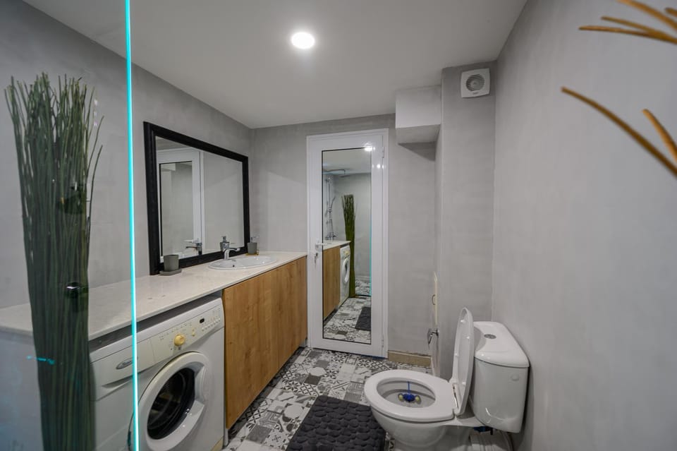 Toilet, Bathroom, washing machine