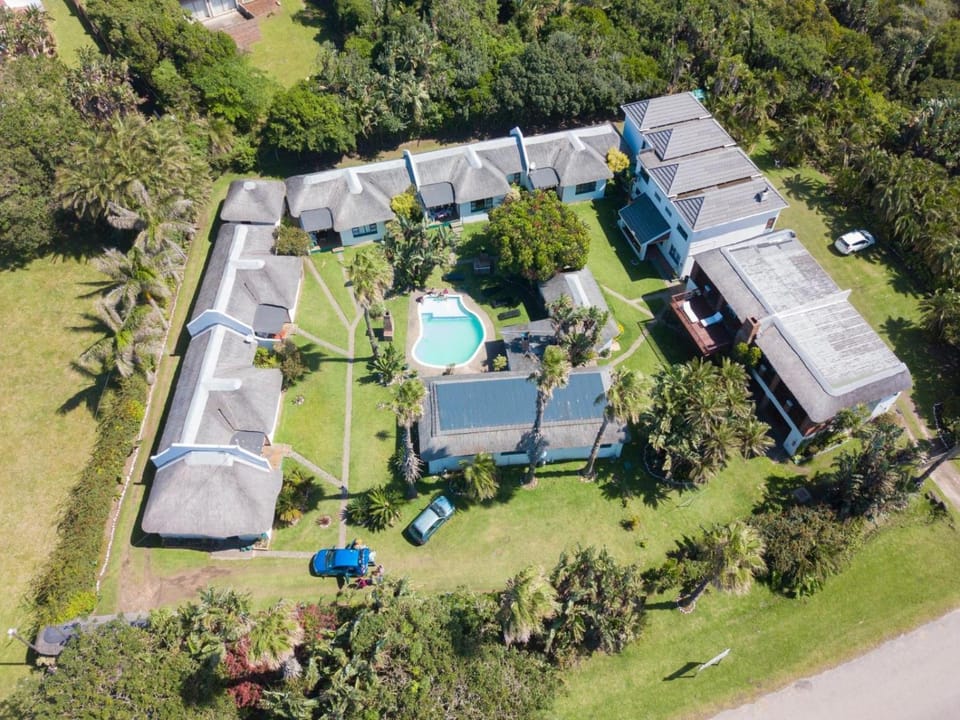 Natural landscape, Bird's eye view, Garden view, Pool view