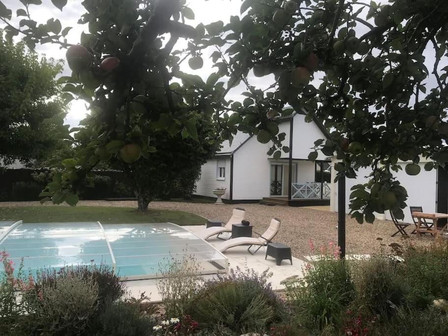 Gîte chalet-piscine "Belle-Etoile" Touraine Anjou House in Centre-Val de Loire