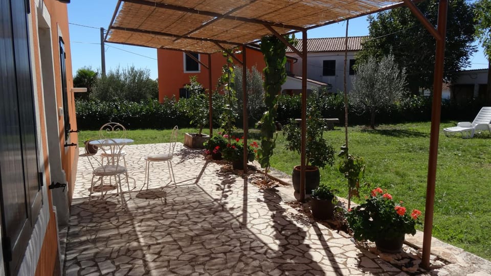 Patio, Garden, Garden view