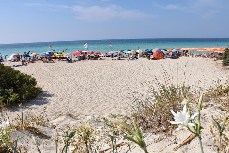 Villa Ilaria by ThePuglia Apartment in Torre Lapillo
