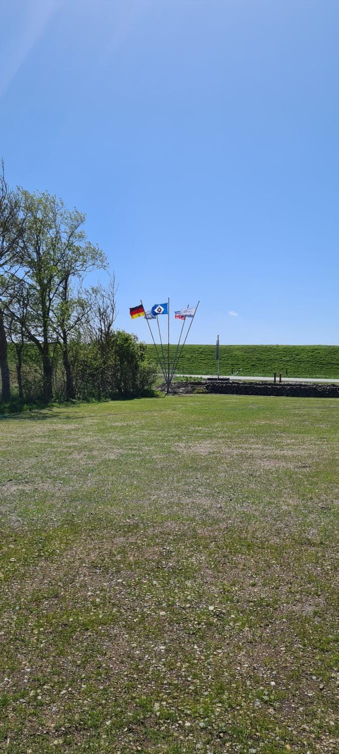 Natural landscape, Garden, Parking