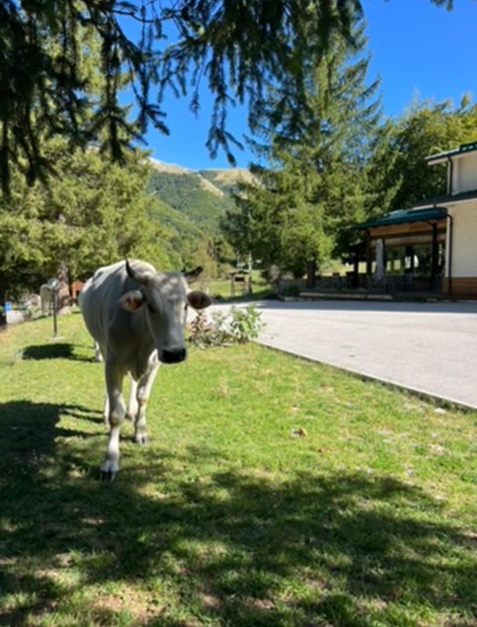 HOTEL CAMPO STELLA Hotel in Umbria