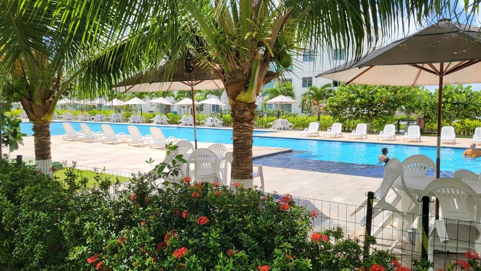 Swimming pool, Swimming pool