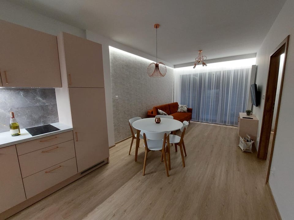 TV and multimedia, Coffee/tea facilities, Balcony/Terrace, Kitchen or kitchenette, Living room, Photo of the whole room, Seating area, Dining area, dishwasher, internet, locker, minibar, pet friendly, stove, toaster, kitchen