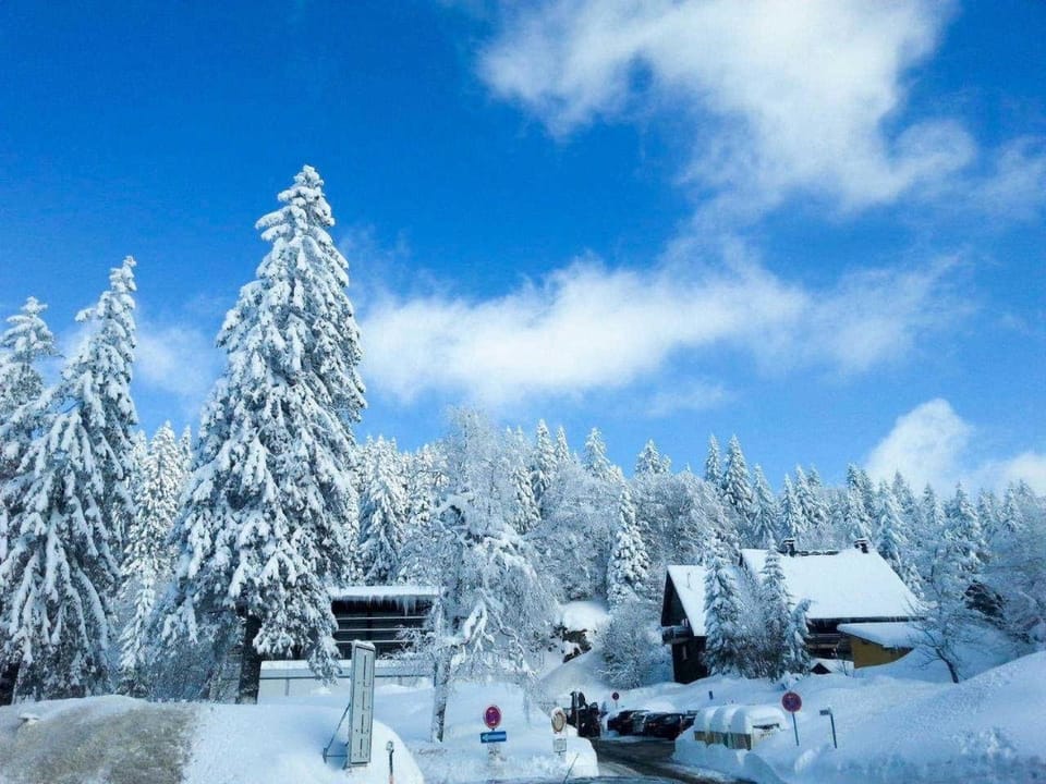 Day, Natural landscape, Winter