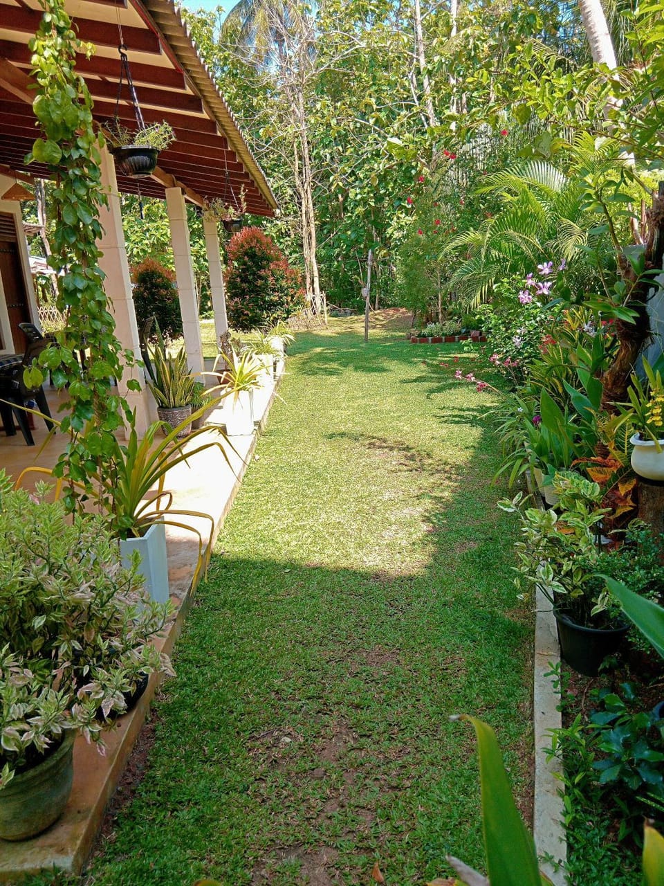 Garden, Garden view