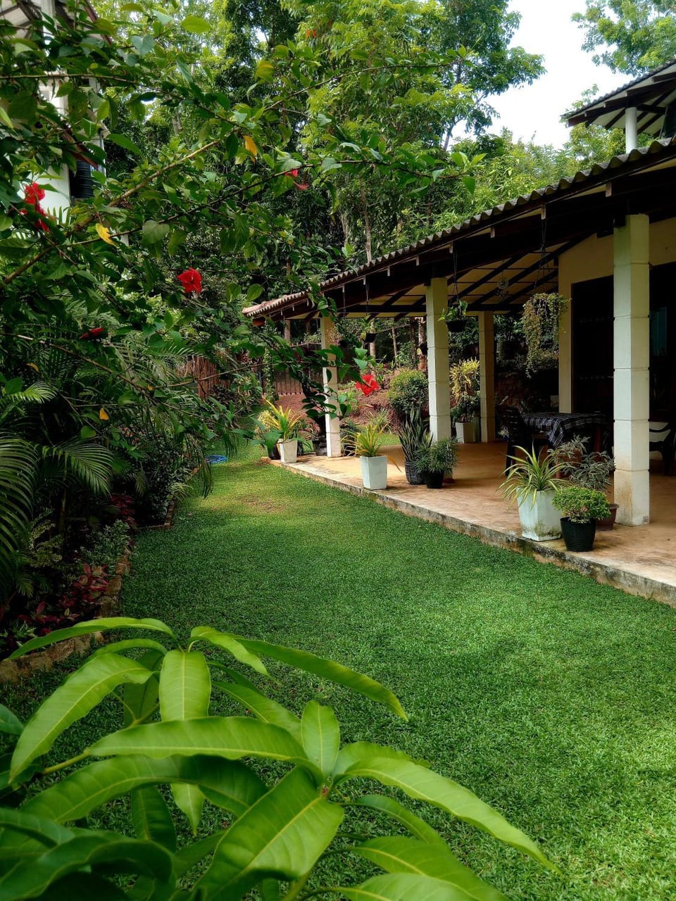 Property building, Day, Natural landscape, Garden view