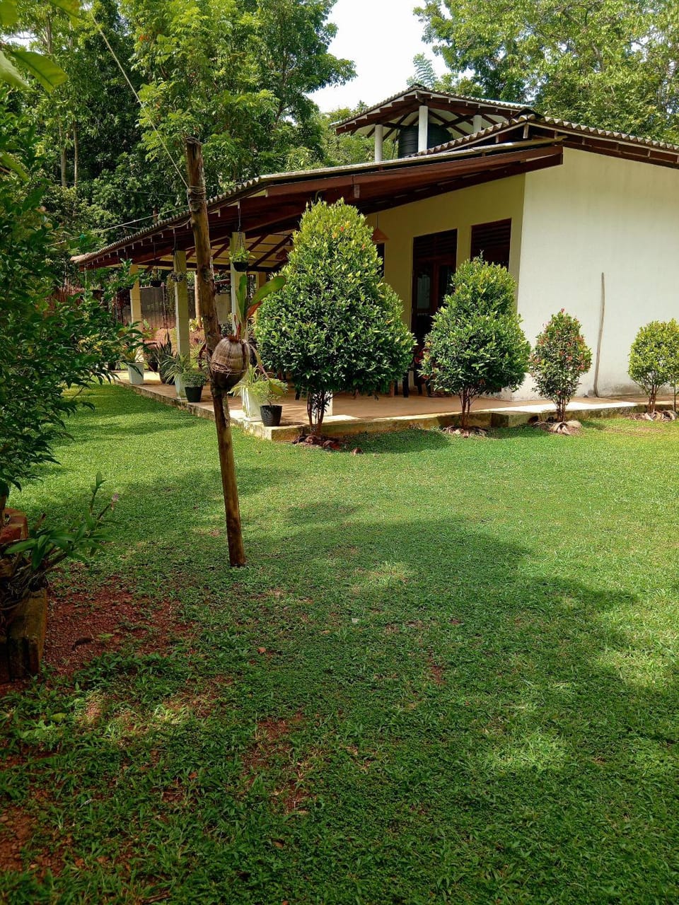 Property building, Natural landscape, Garden, Garden view