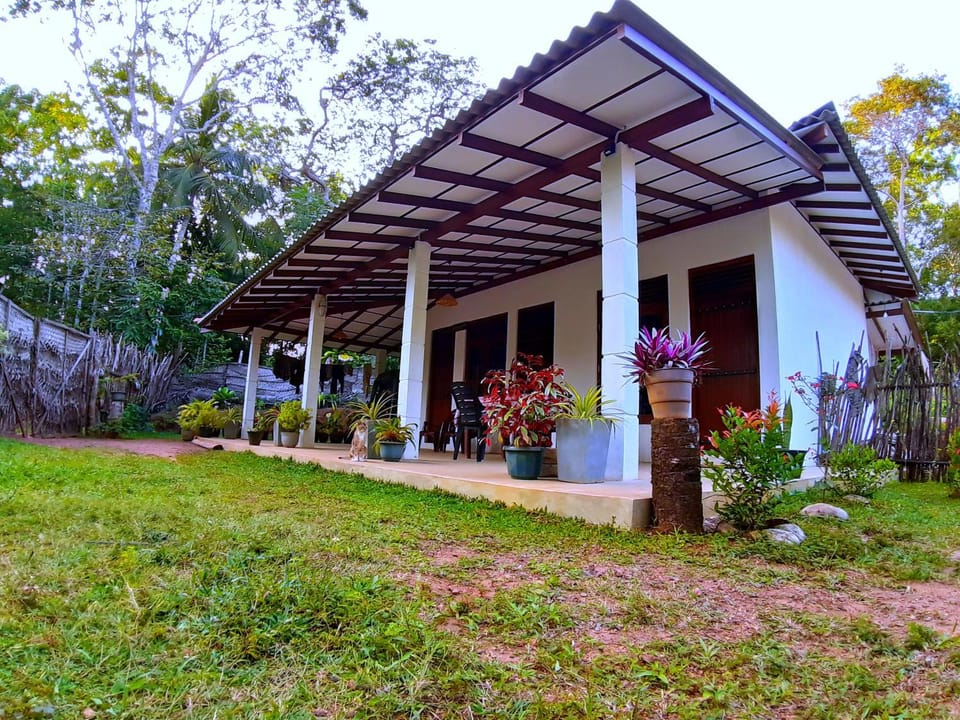 Garden, Balcony/Terrace, Garden view