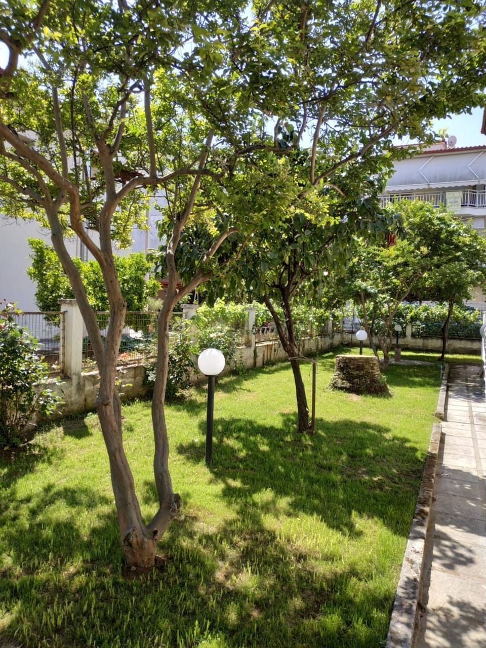 seniorita holidays Apartment in Halkidiki