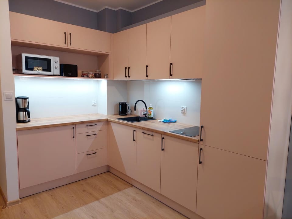 Apartament przy stoku Pod Papugami 2 Karpatia Resort Apartment in Lower Silesian Voivodeship