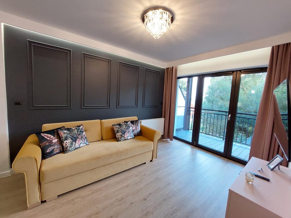 TV and multimedia, Balcony/Terrace, Living room, Photo of the whole room, Seating area, internet, locker