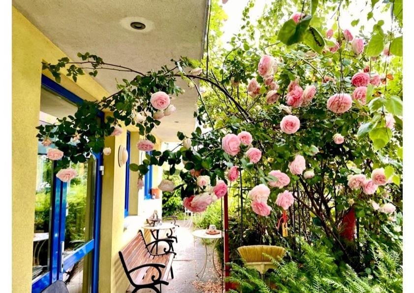 Gästezimmer Puzwidu Bed and Breakfast in Vienna
