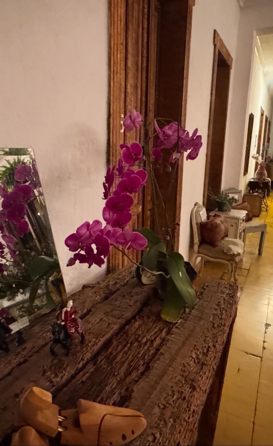 CASA DE LAS FLORES Vacation rental in Guatemala City