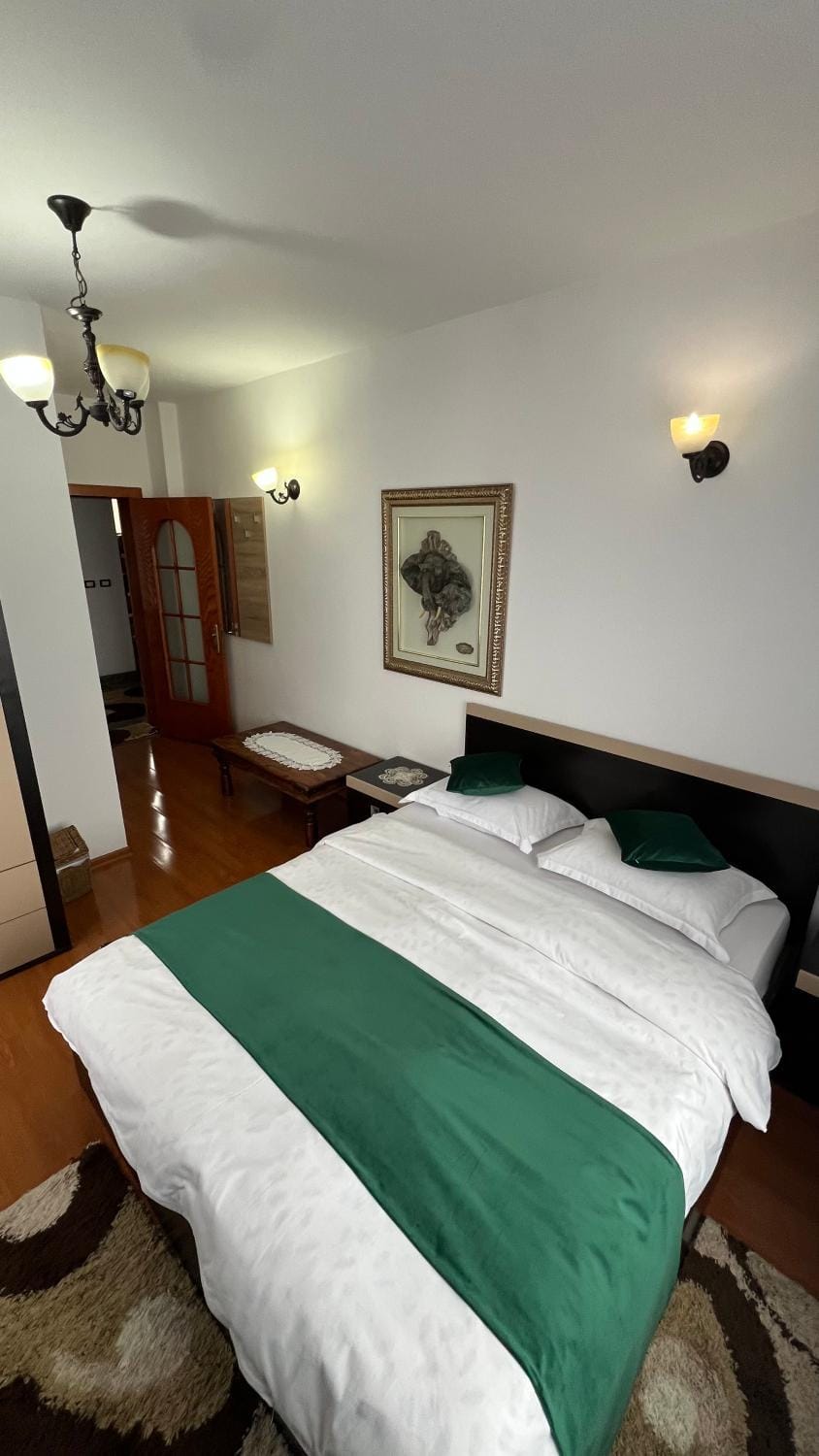Pensiunea Lavinia Daniel Bed and Breakfast in Romania