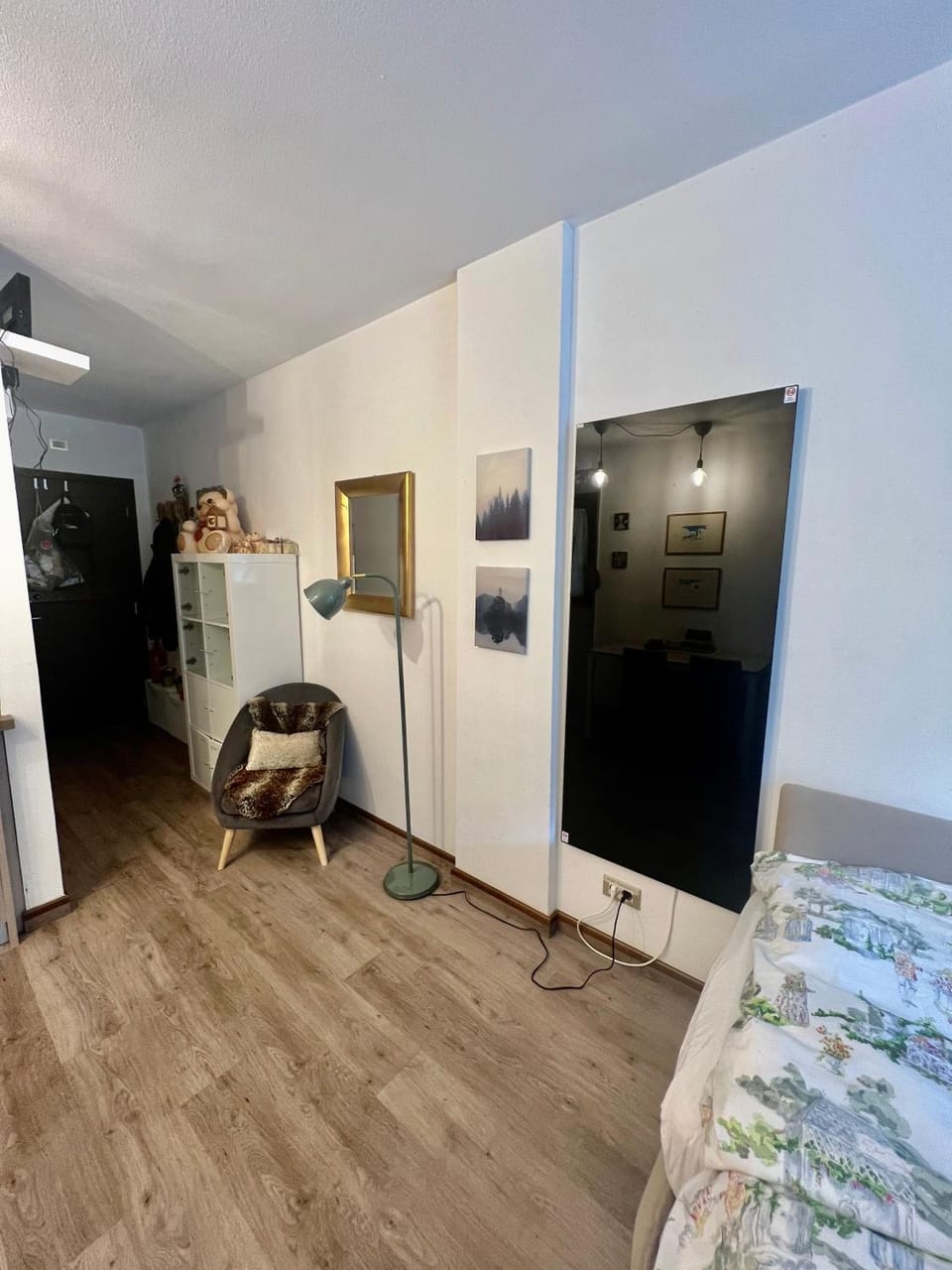 Photo of the whole room