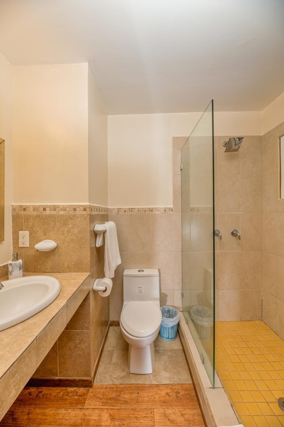 Shower, Toilet, Bathroom, towels