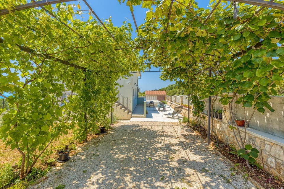 Facade/entrance, Garden