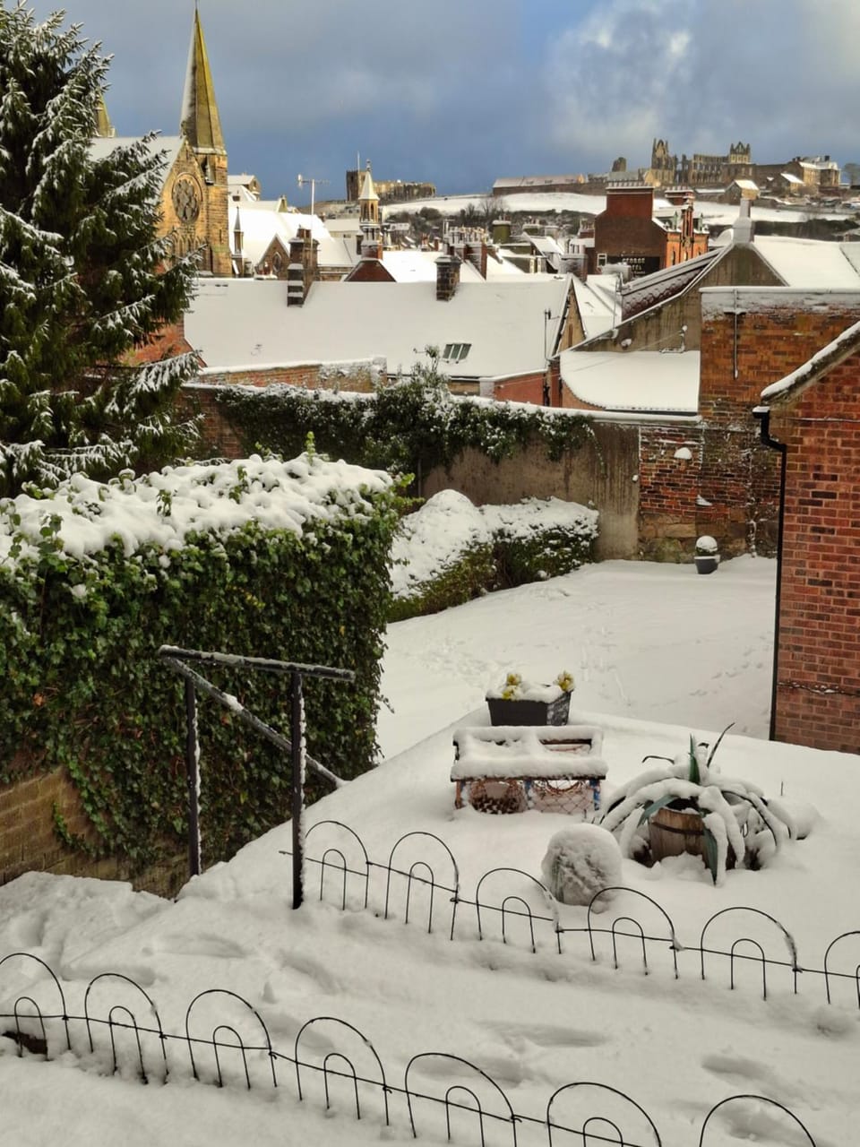 Winter