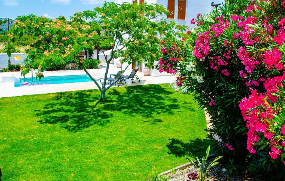Patio, Garden