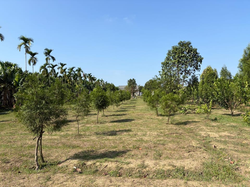 哲芷軒包棟養生莊園 Villa in Kaohsiung