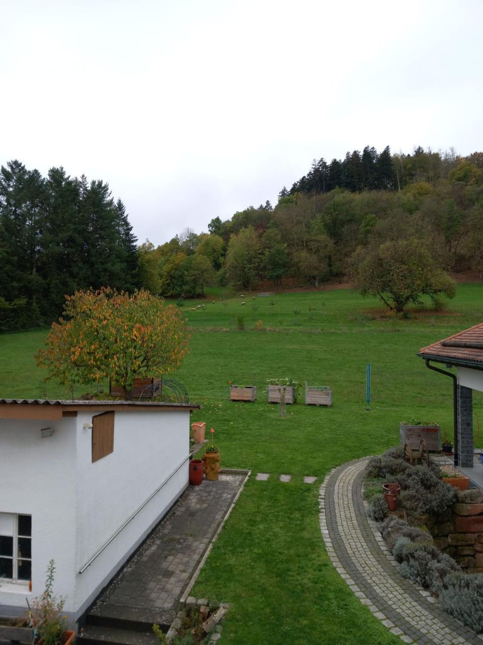 View (from property/room)