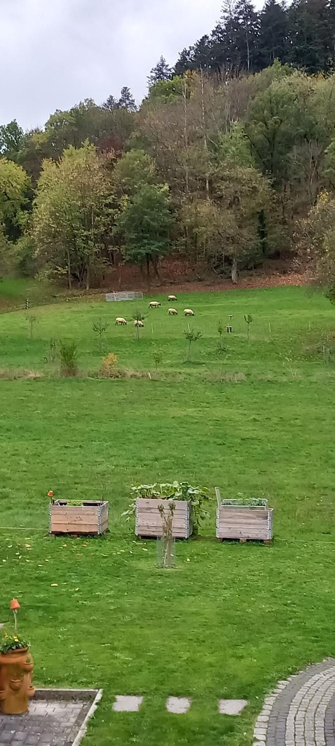 View (from property/room)