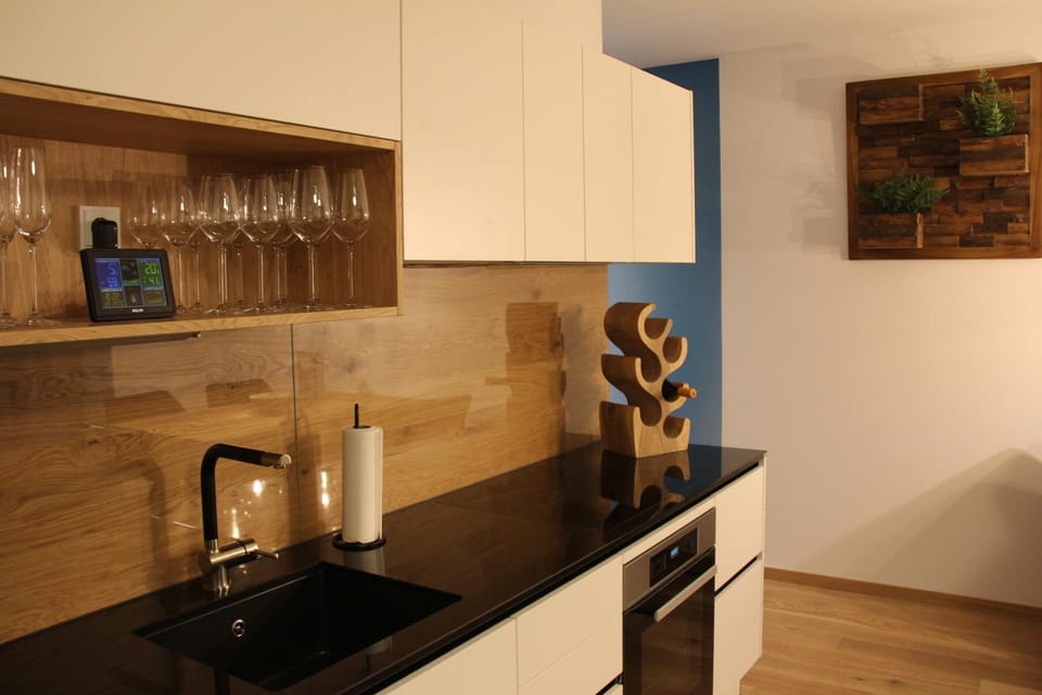 Kitchen or kitchenette, kitchen