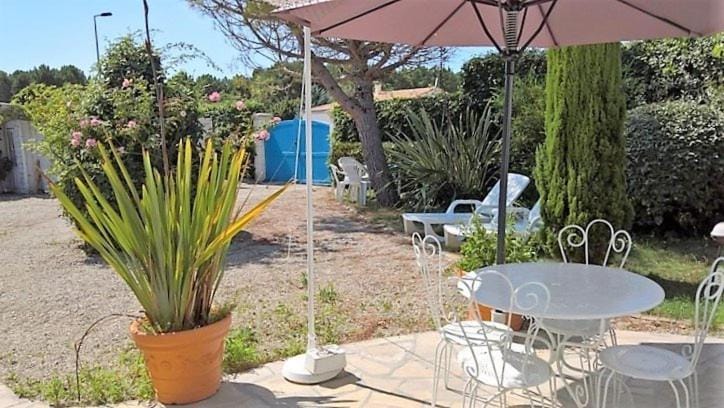 Patio, Day, Garden, Garden view, sunbed