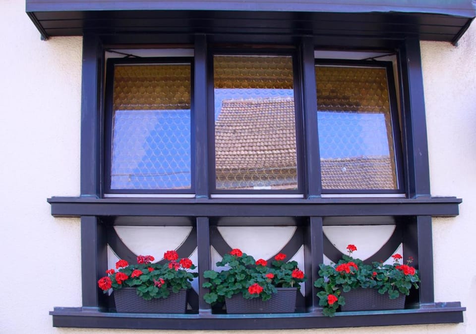 Ferienwohnung „Brot & Wein” Apartment in Rhineland-Palatinate
