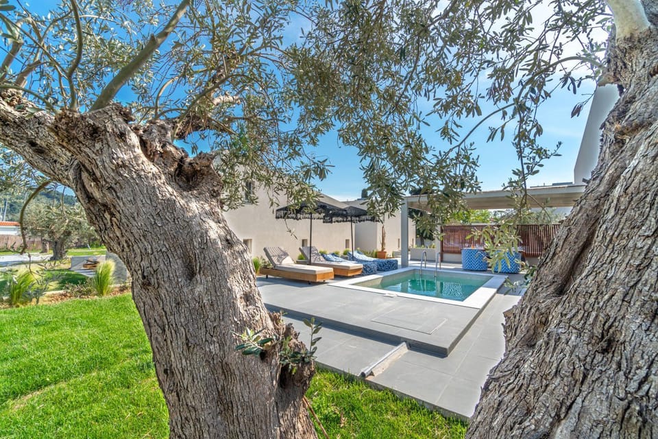 Patio, Garden, Swimming pool