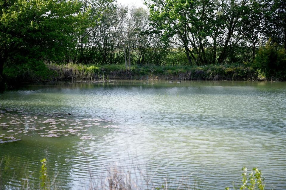 Lake view