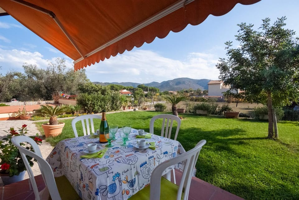 Patio, Garden