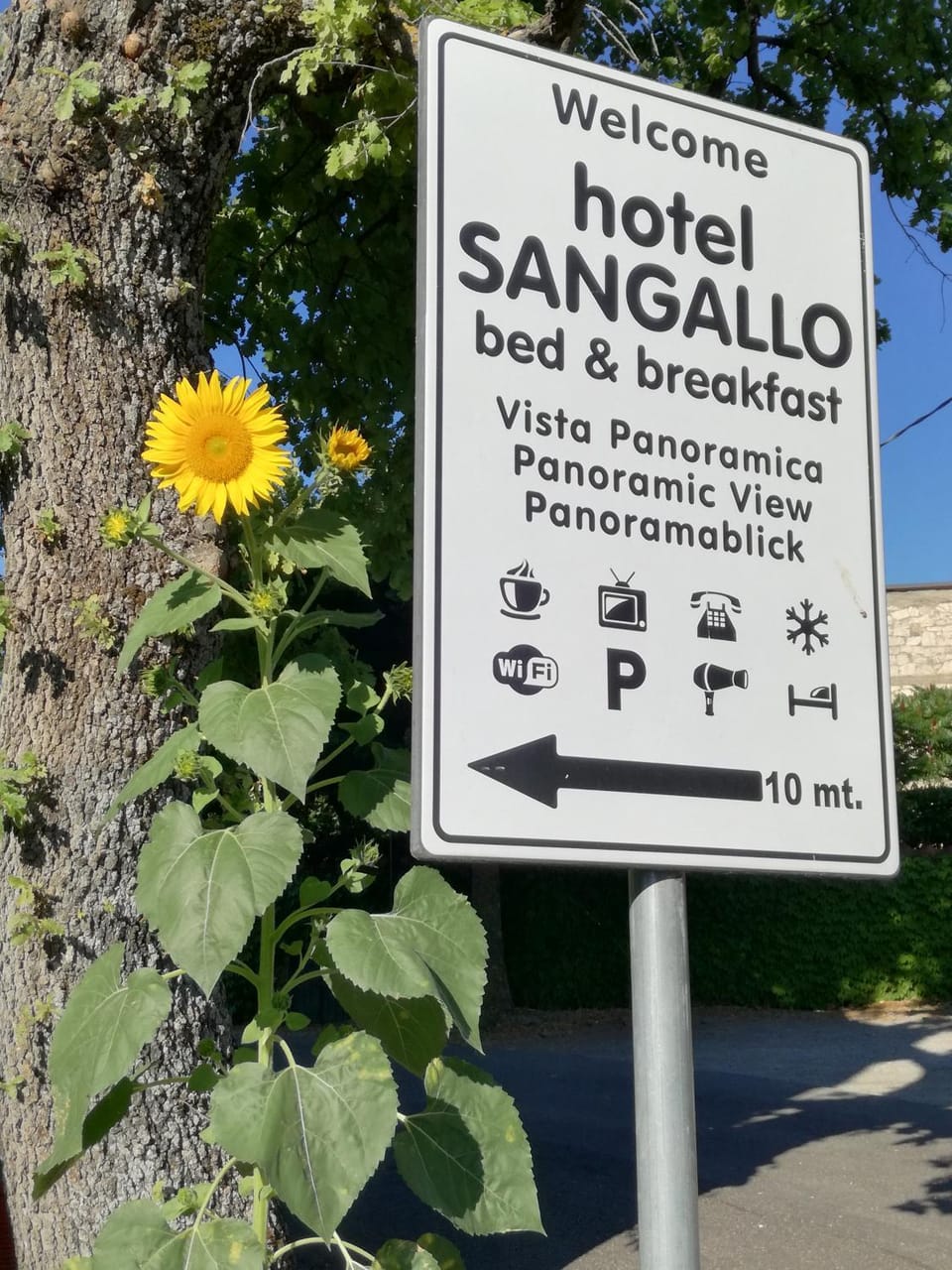 Property logo or sign