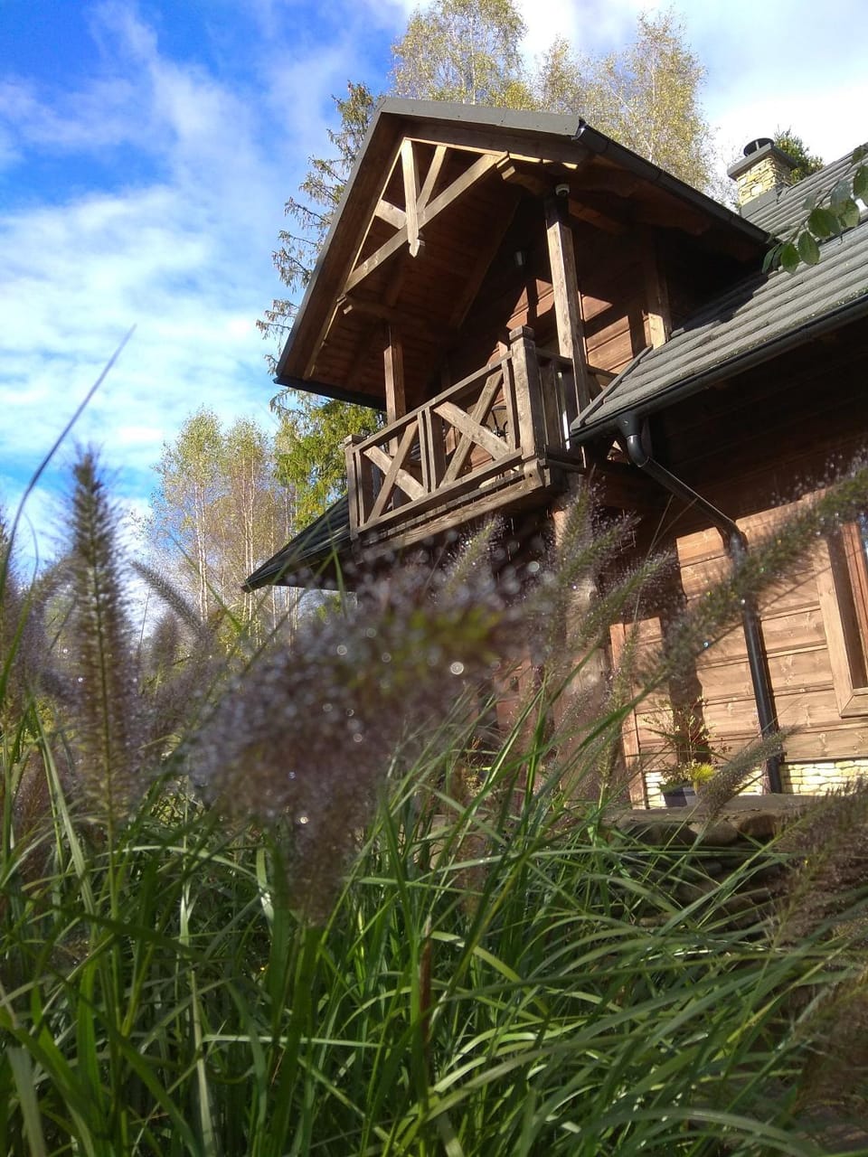 Property building, Day, Garden