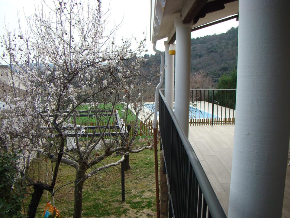 Balcony/Terrace, Garden view