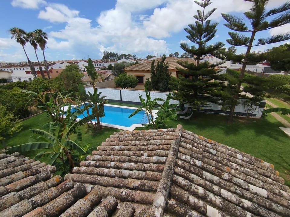 Garden view, Pool view, Swimming pool, sunbed