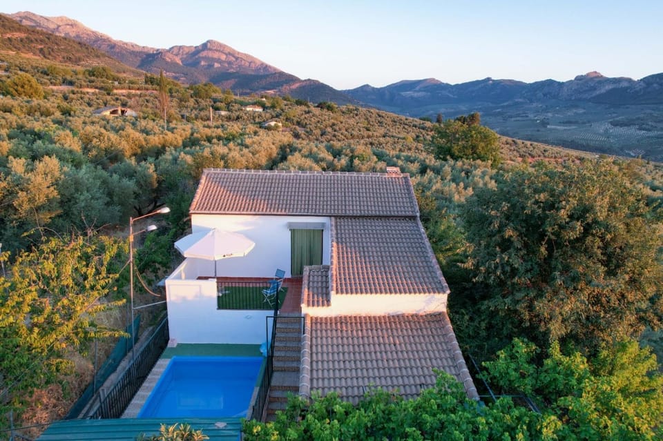 Bird's eye view, Pool view, Swimming pool