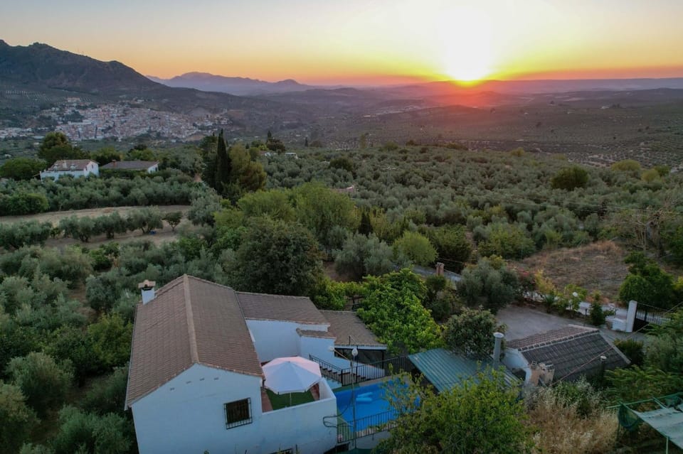 Bird's eye view, Pool view, Sunset