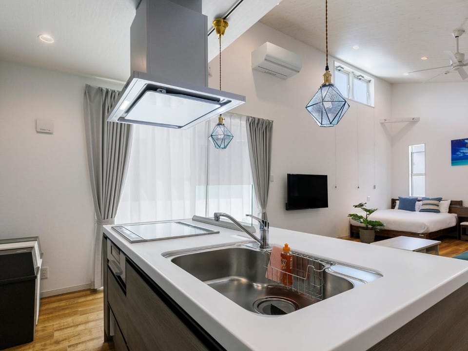 Kitchen or kitchenette, kitchen
