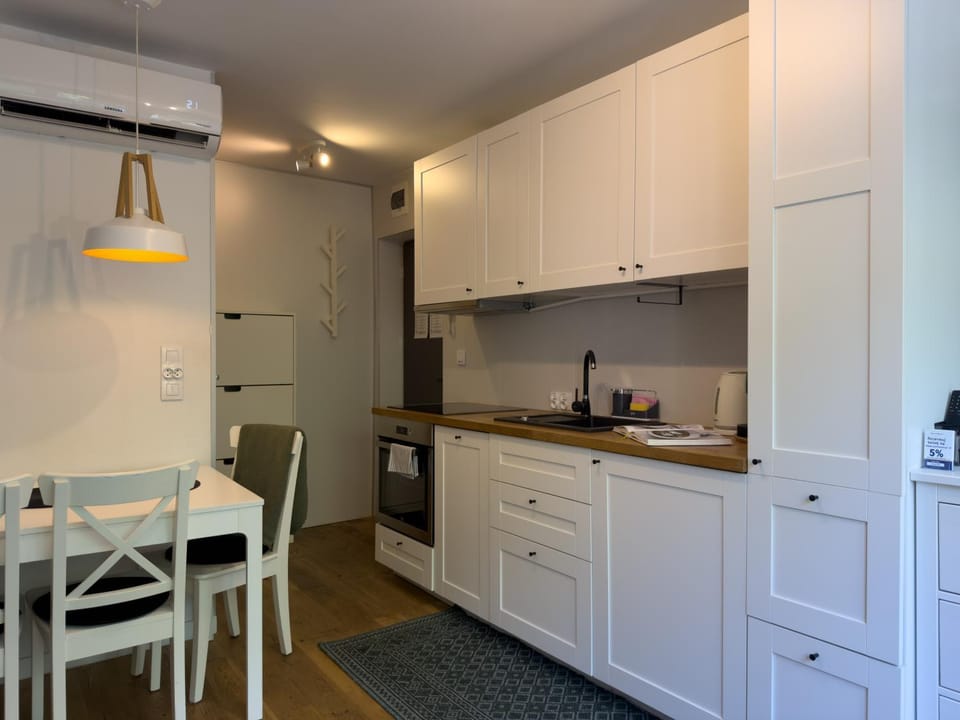 URBAN APARTMENTS Studio No 4A - Air Condition - Garden - Free Parking Apartment in Poland