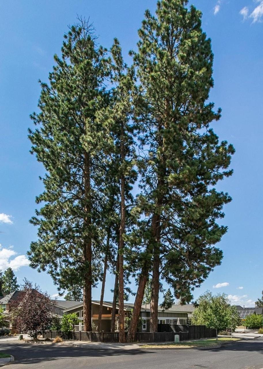Dwell 30 Days Minimum home House in Bend