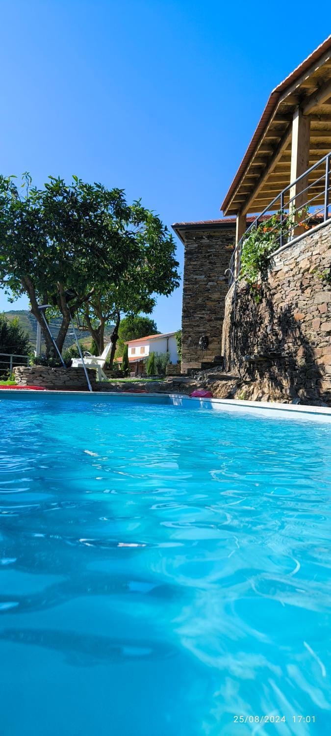 Soalheira Douro House House in Vila Real District
