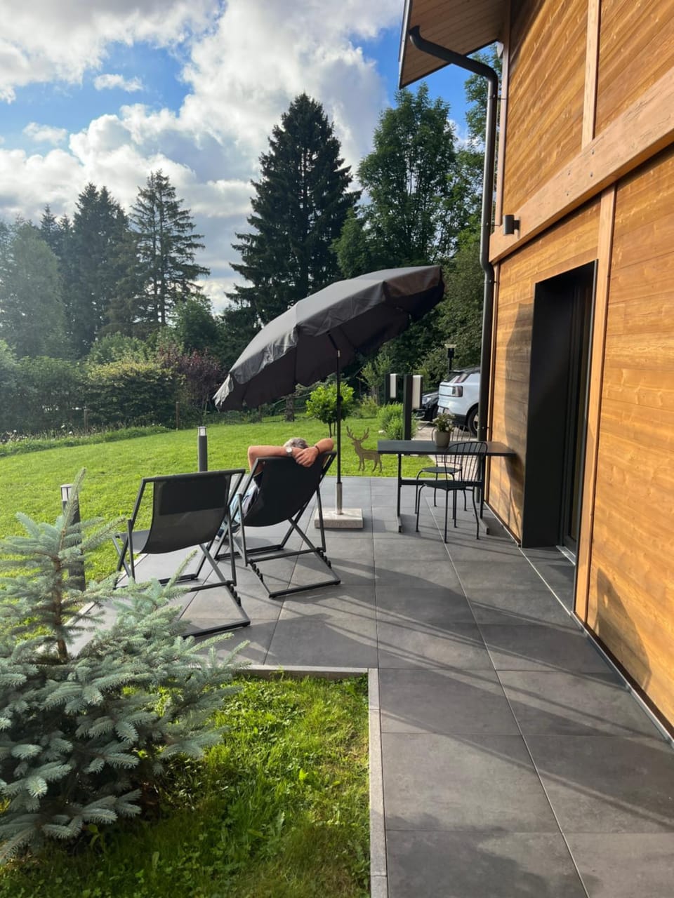 Patio, Day, Natural landscape, Summer, Garden, Garden view, sunbed