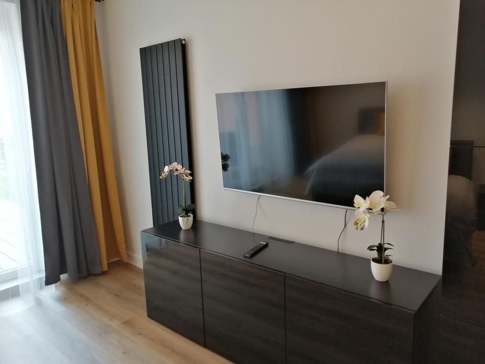 TV and multimedia