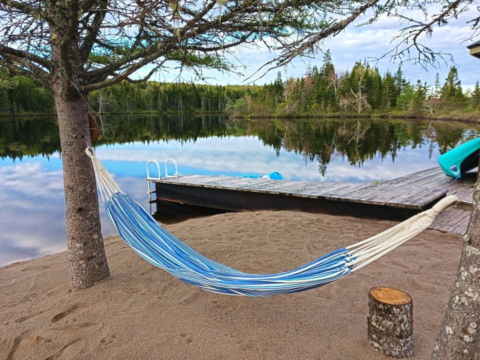 Lake view