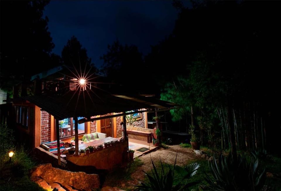Property building, Night, Garden view