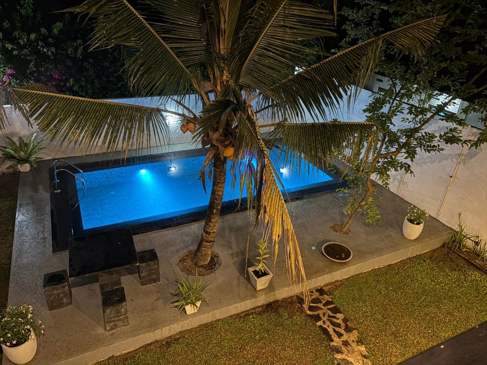 Night, Garden view, Swimming pool